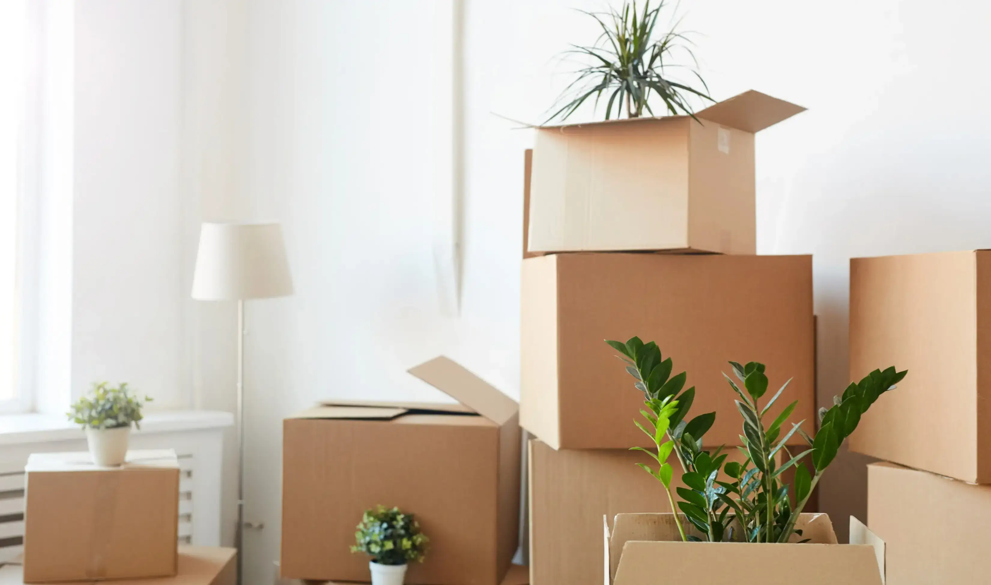 Moving cleaning service