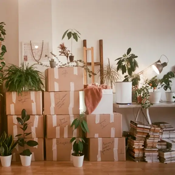 Moving cleaning service detail 1